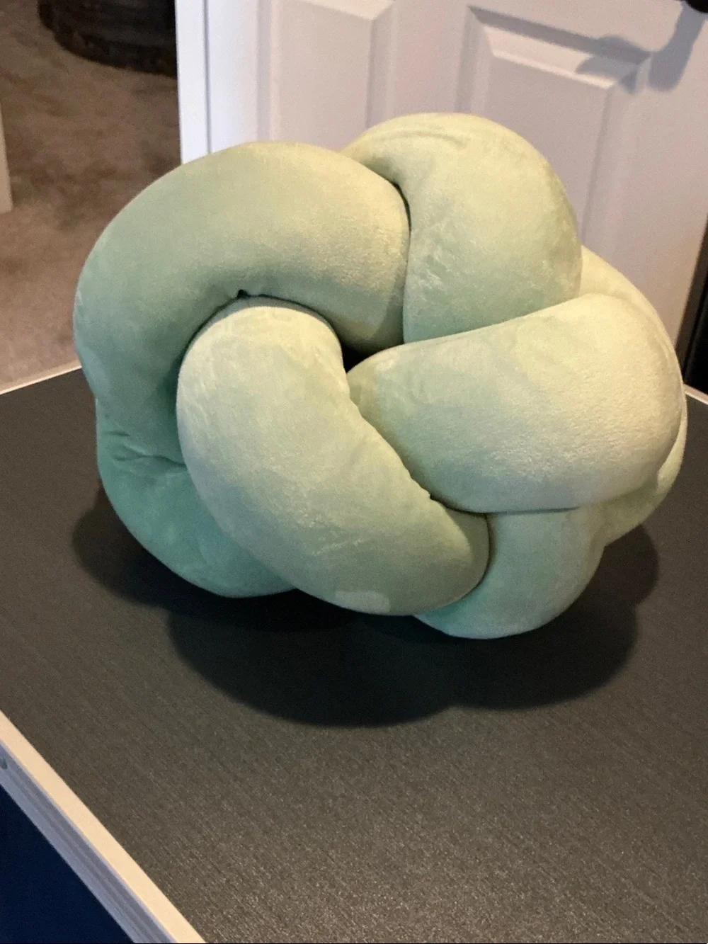 Knot Decorative Pillow in Sage Green
